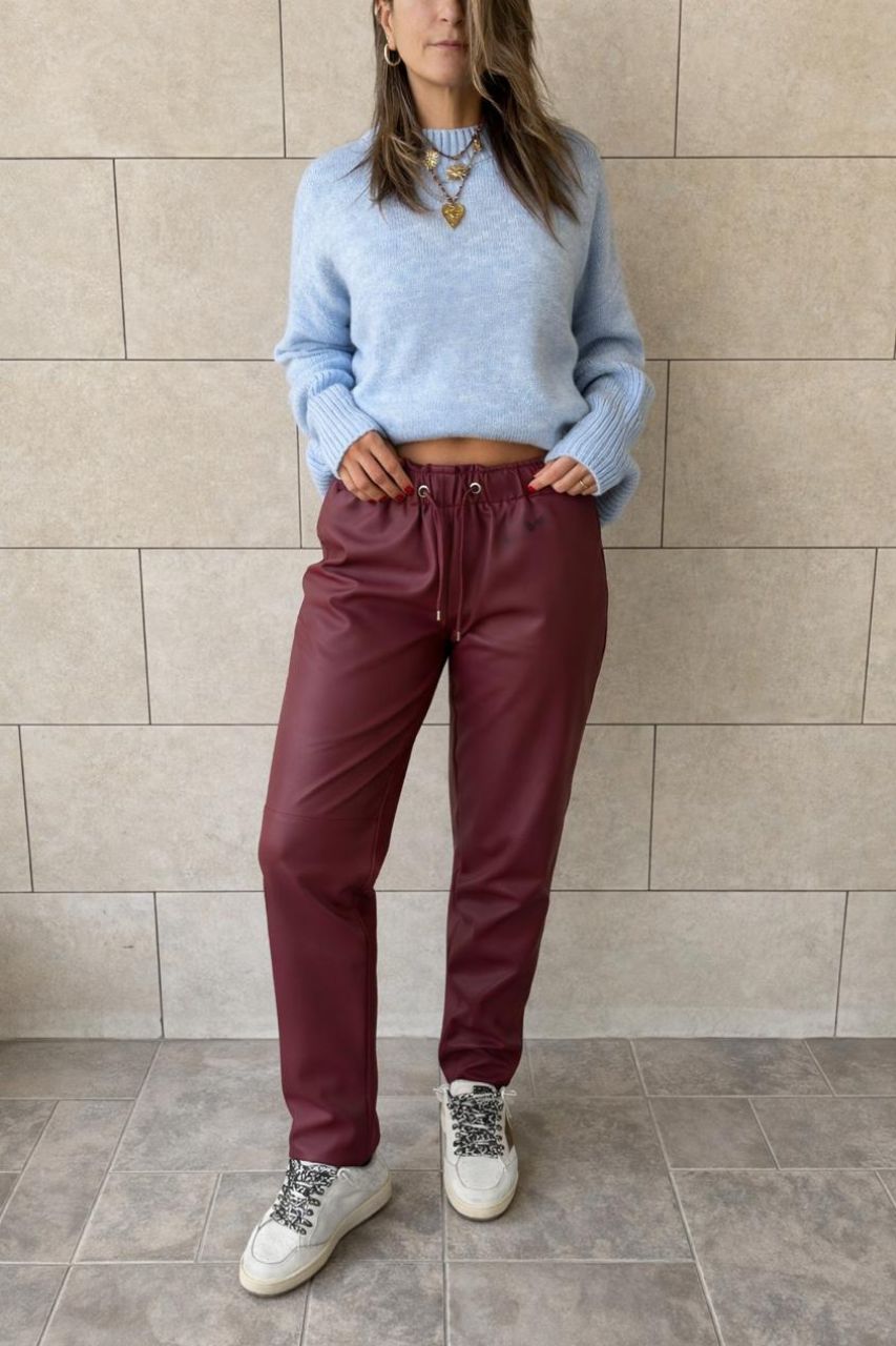 Plum Walk-Away Leather Pants