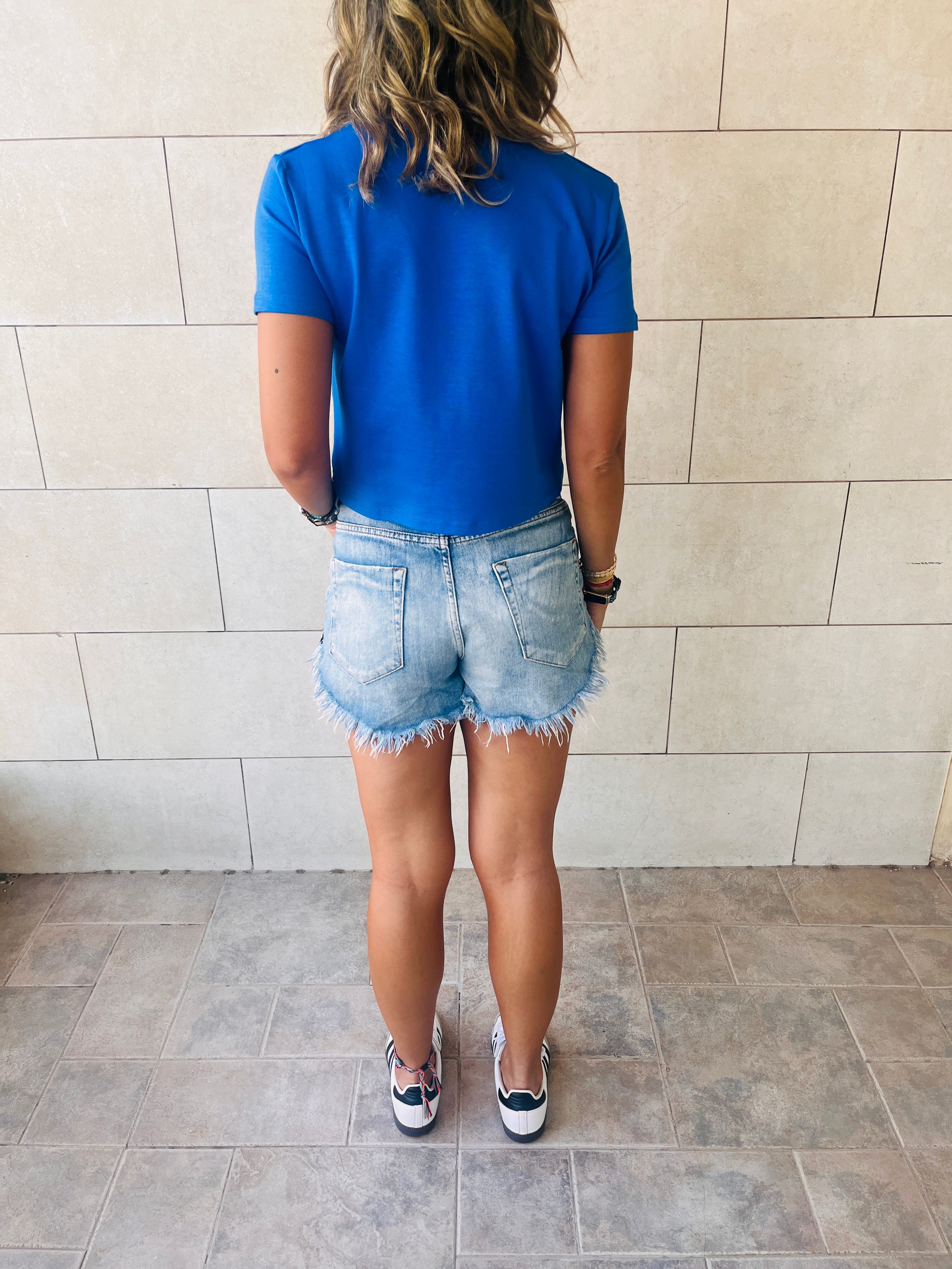 Blue & Beige Pull Me Through Crop Tee