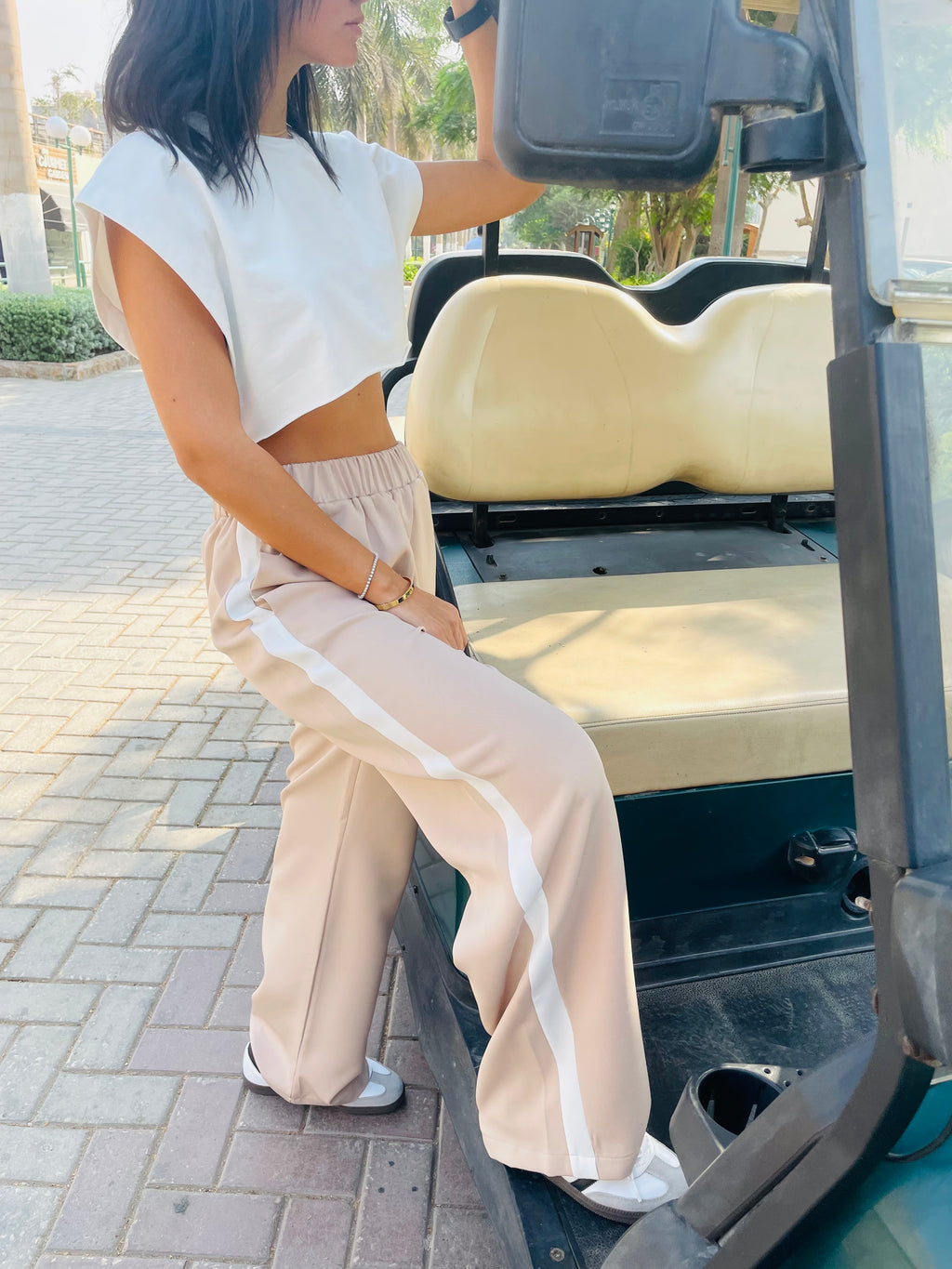 Beige Side Stripe Pants