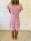 Blush Lace Dress