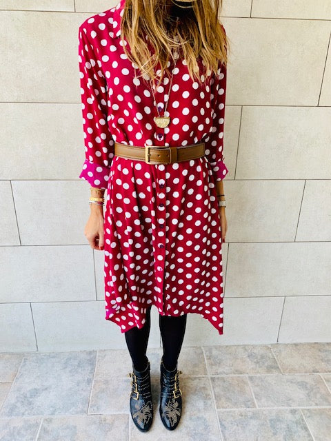 Polka A-Line Shirt Dress