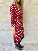 Polka A-Line Shirt Dress