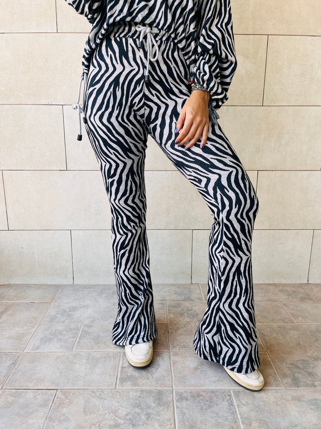 Zebra Around Town Set