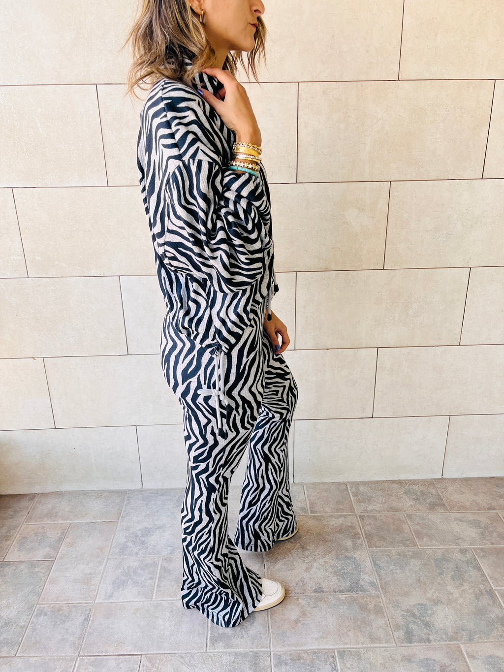 Zebra Around Town Set