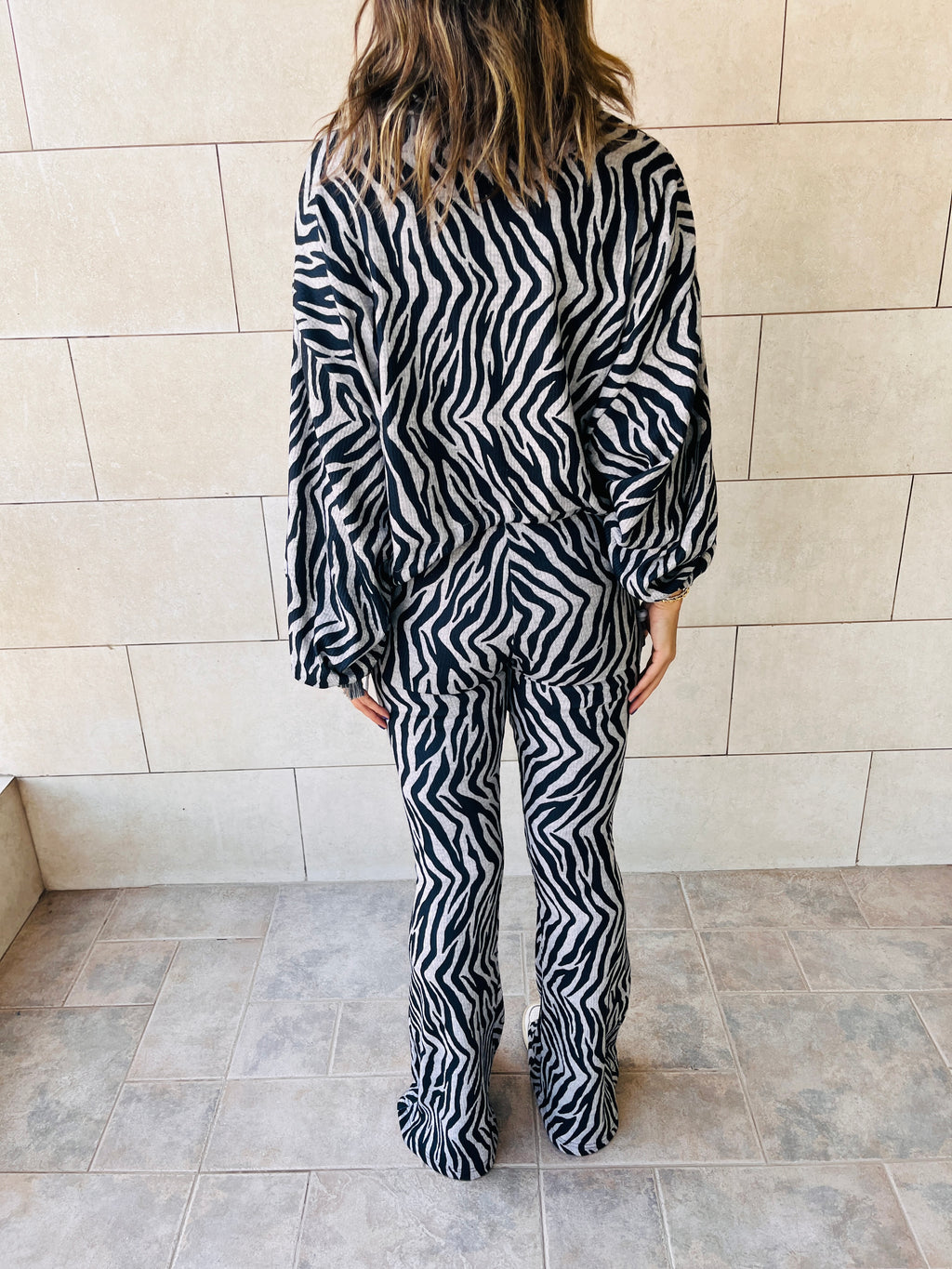 Zebra Around Town Set